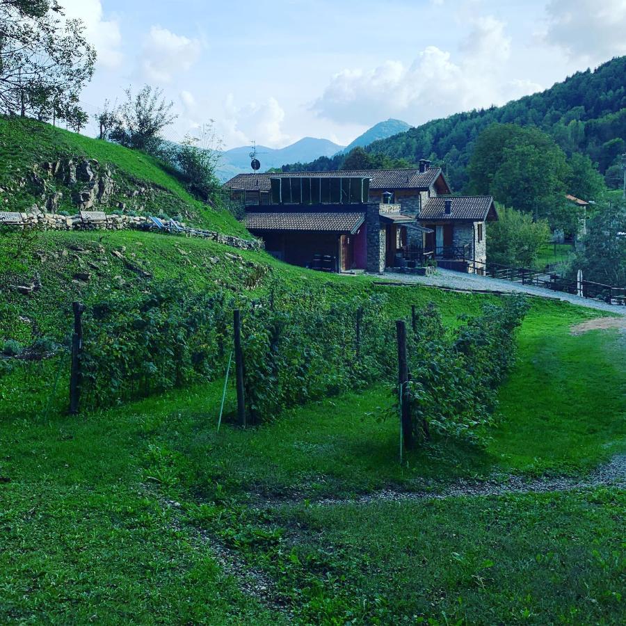 Agriturismo Il Talento Nella Quiete Castiglione d'Intelvi ภายนอก รูปภาพ