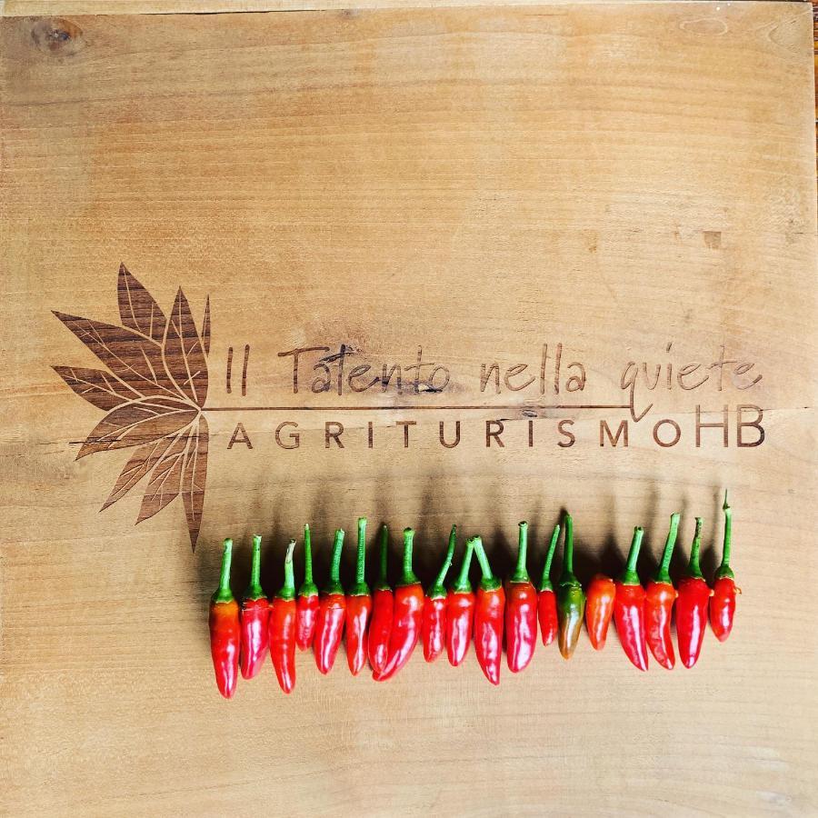 Agriturismo Il Talento Nella Quiete Castiglione d'Intelvi ภายนอก รูปภาพ