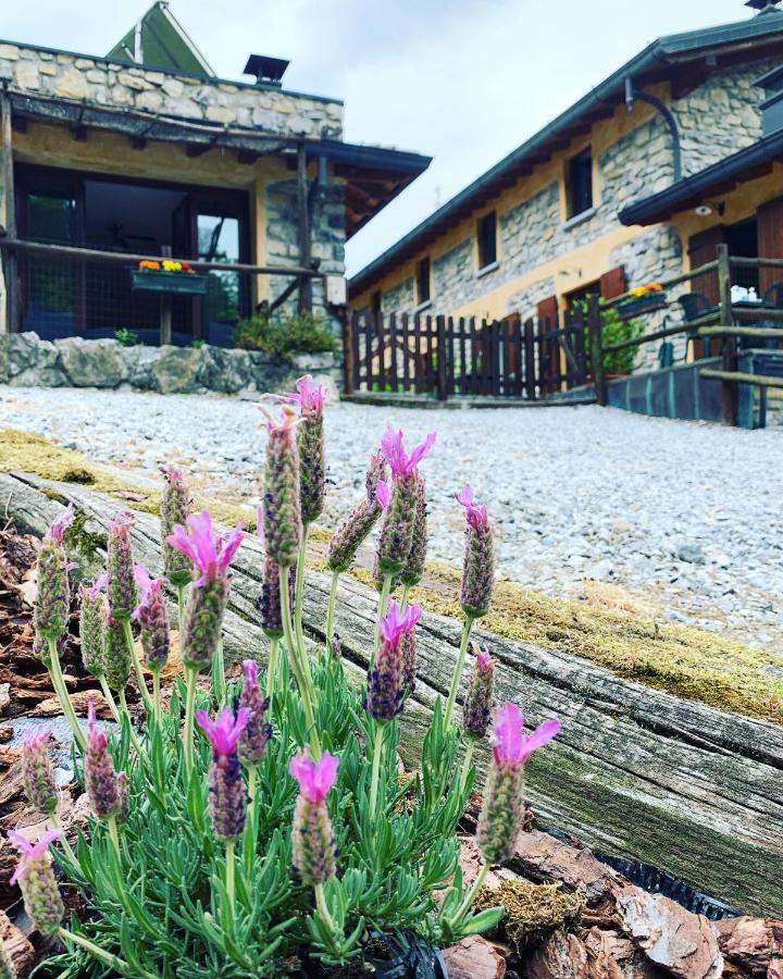 Agriturismo Il Talento Nella Quiete Castiglione d'Intelvi ภายนอก รูปภาพ