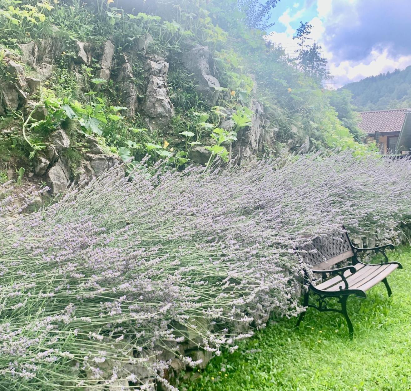 Agriturismo Il Talento Nella Quiete Castiglione d'Intelvi ภายนอก รูปภาพ