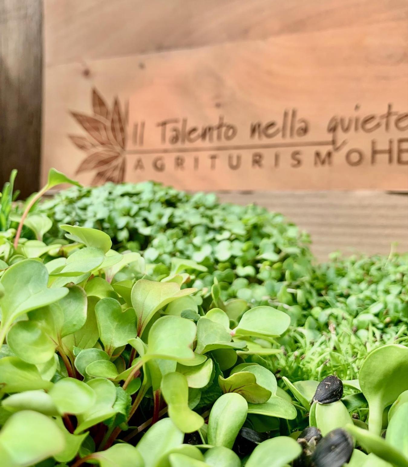 Agriturismo Il Talento Nella Quiete Castiglione d'Intelvi ภายนอก รูปภาพ