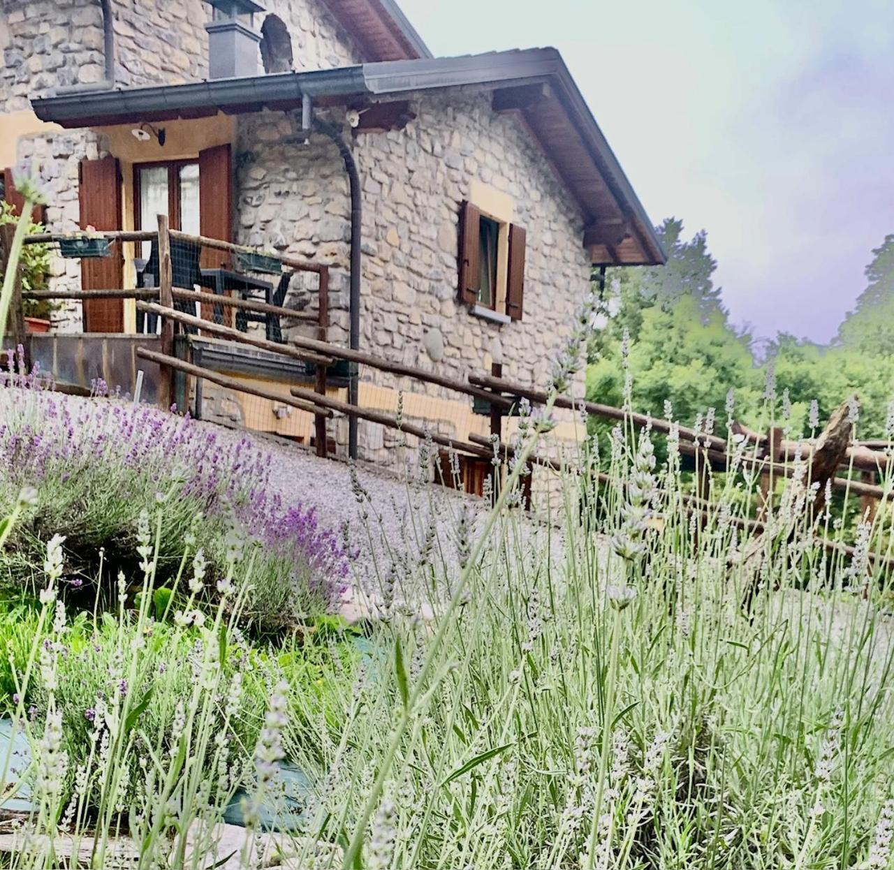 Agriturismo Il Talento Nella Quiete Castiglione d'Intelvi ภายนอก รูปภาพ